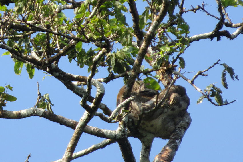 Guía de viaje a Perú. Amazonas 4