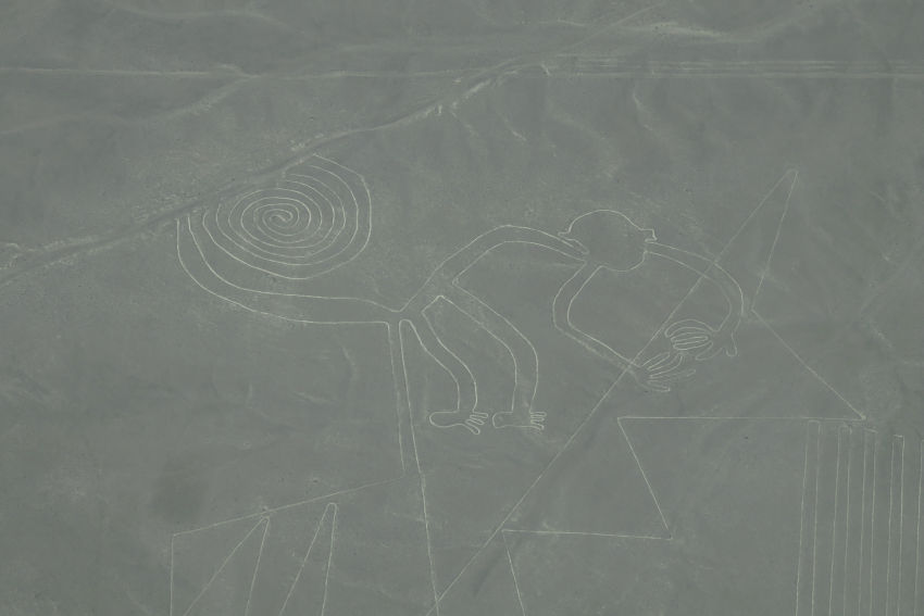 Líneas de Nazca: el mono