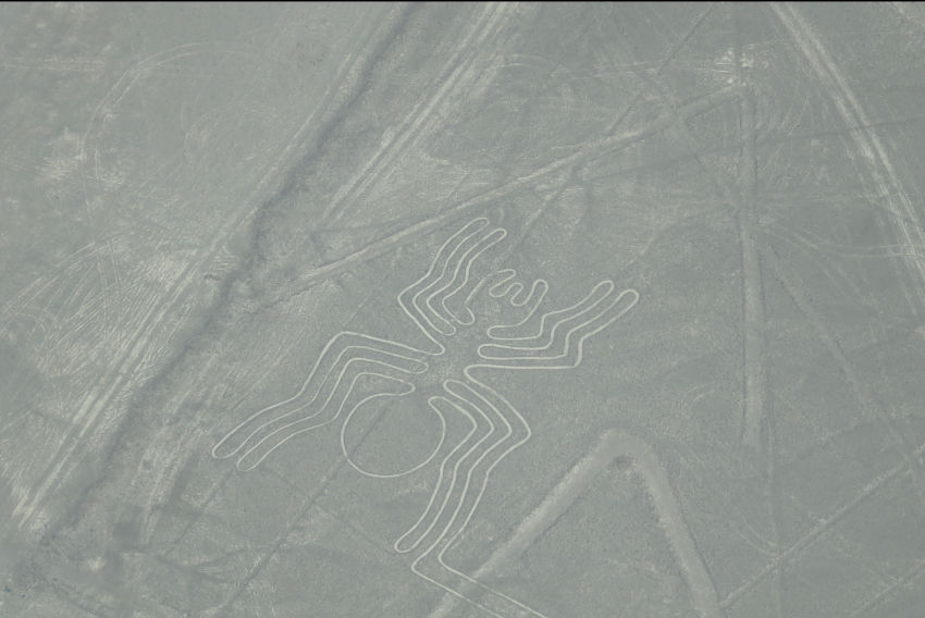 Líneas de Nazca: la araña