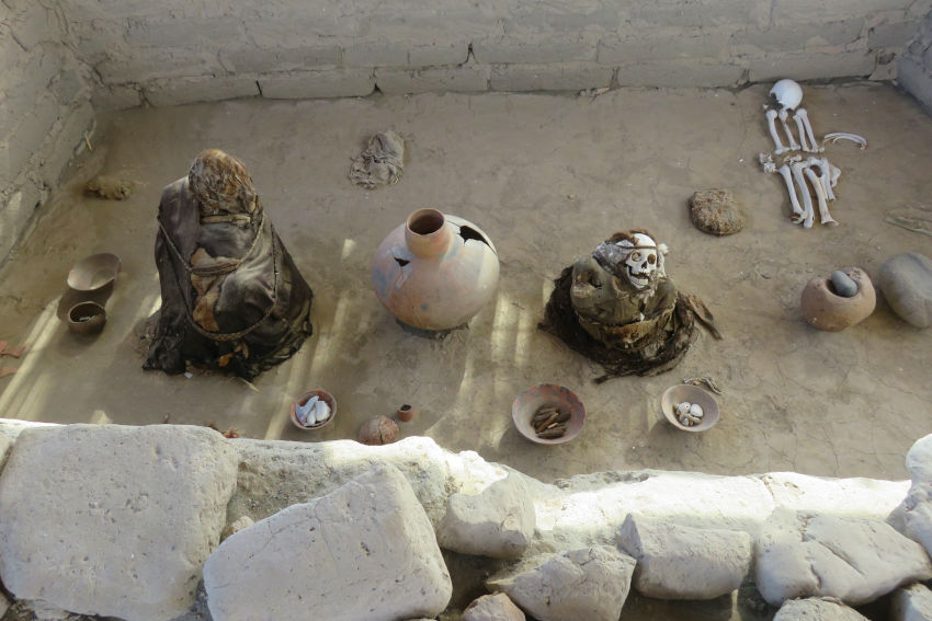 Cadáveres del cementerio