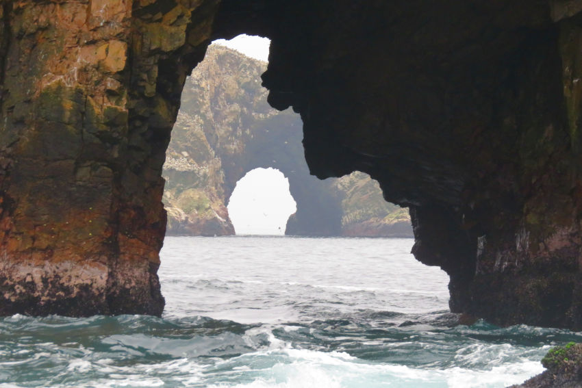 Islas Ballestas 2
