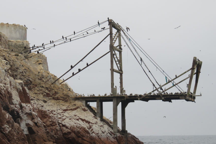 Islas Ballestas 3