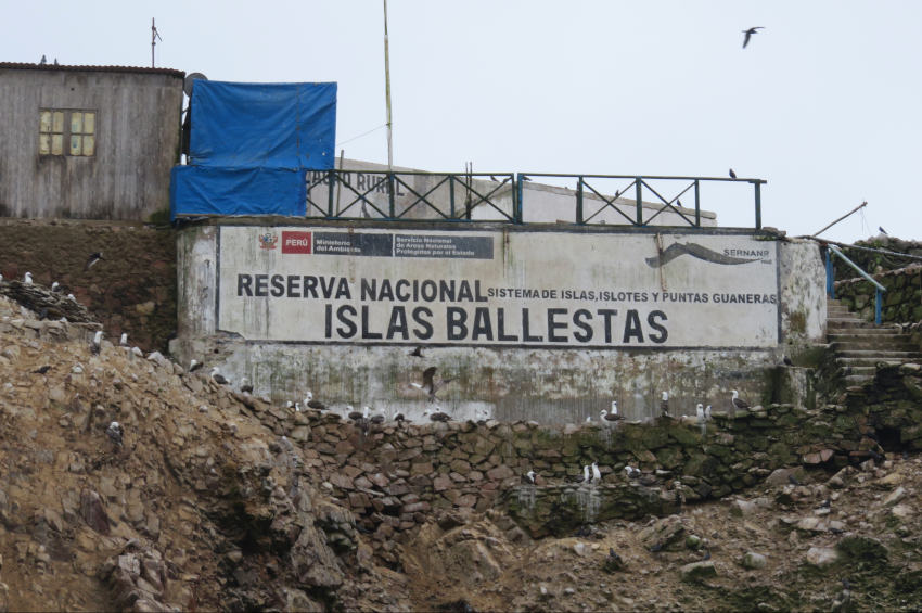 Reserva Nacional Islas Ballestas