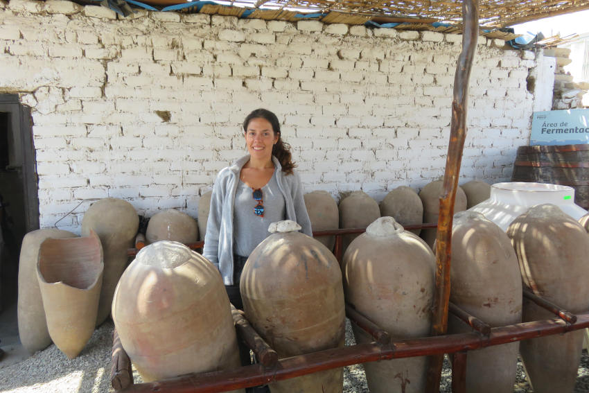Bodega de Pisco. Elaboración