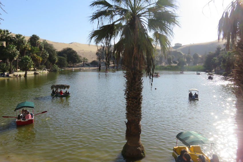 Detalle del Oasis de la Huacachina