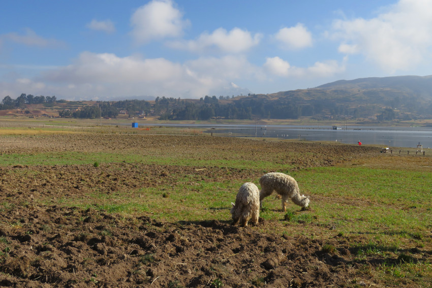 Laguna de Piuray 2