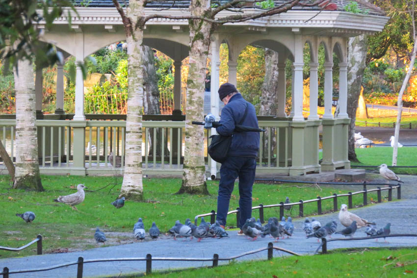 St Stephen´s Green Park 2