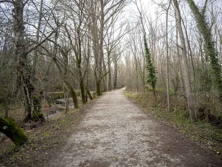 Que ver en el Bosque Finlandés