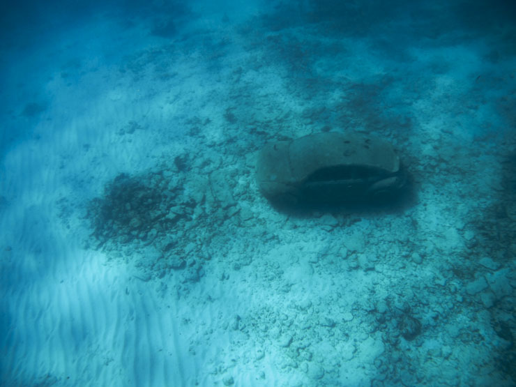 MUSA Isla Mujeres: el Volkswagen escarabajo