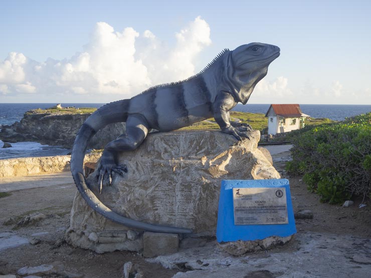 Estatua en honor a la Iguana. ¡Parece real!