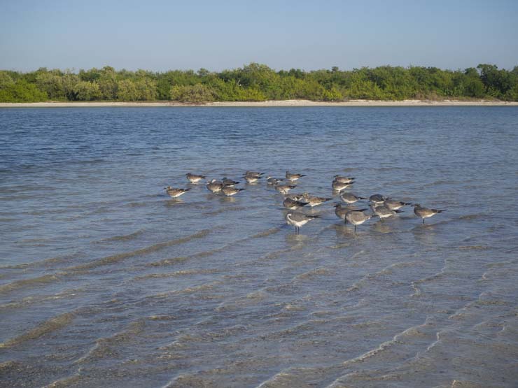 Cerca de la Playa Punta Cocos, se forma una pequeña laguna