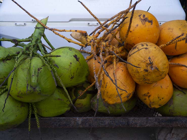 Que ver y hacer en Tulum y alrededores