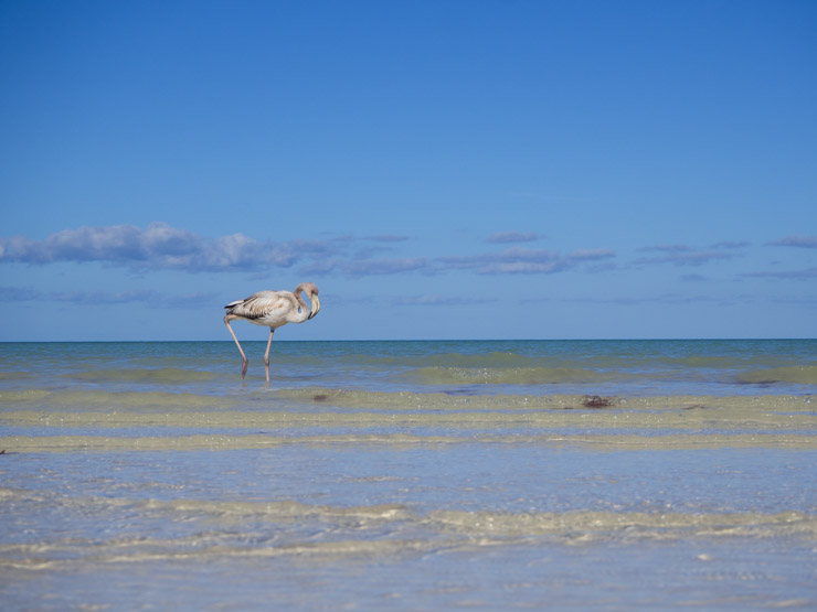 En Holbox te esperan postales como esta.... ¡Bruuutal!