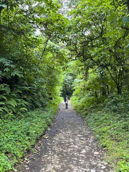 Viaje por Costa Rica: Reserva Biológica Bosque Nuboso de Monteverde