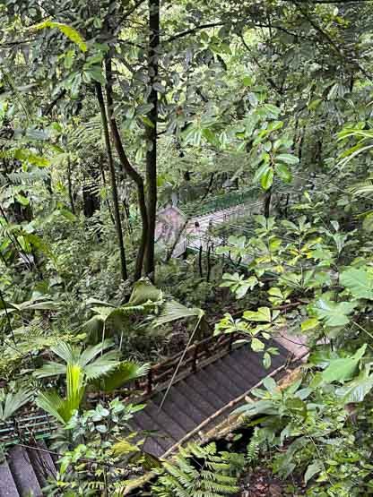 Sendero hacía la Catarata Río Fortuna.... ¡500 escalones!