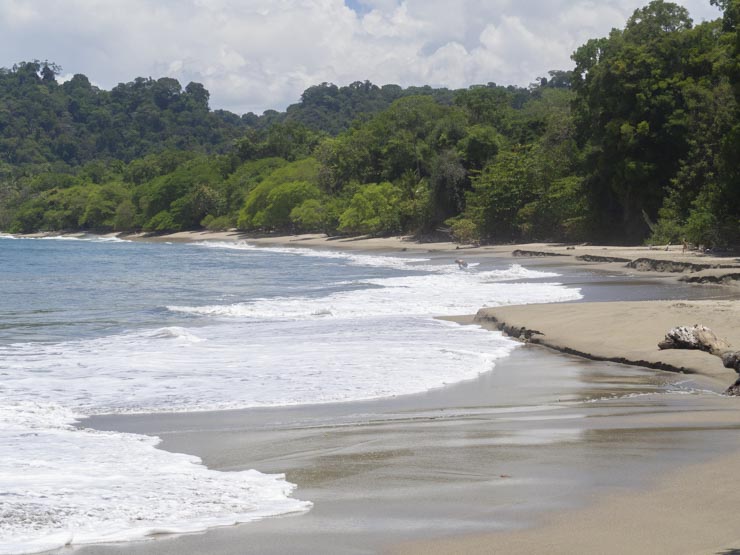 Aunque llueva, la temperatura siempre será adecuada para disfrutar de la playa en cualquier época del año