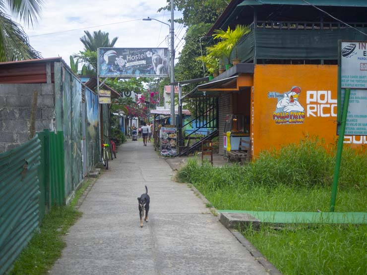 Pueblo de Tortuguero