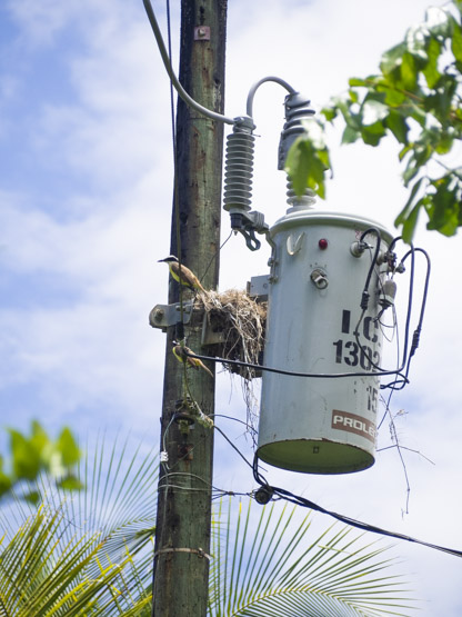 Entradas y precios del Parque Nacional Tortuguero