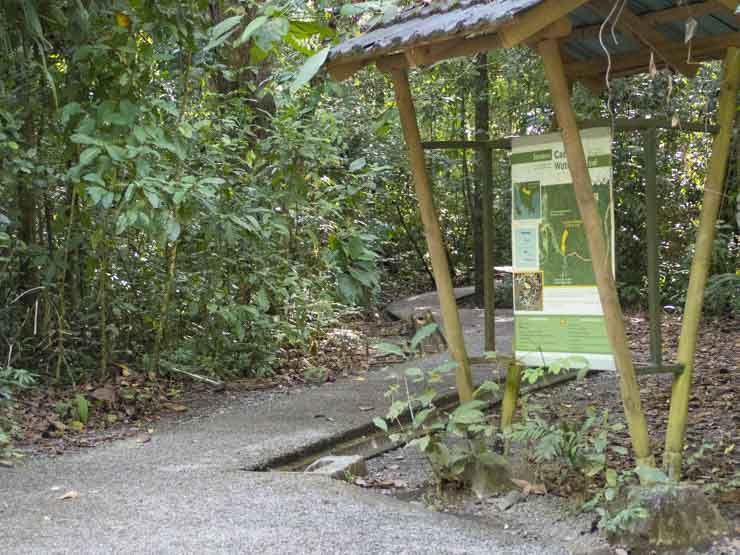Senderos del Parque Nacional Manuel Antonio