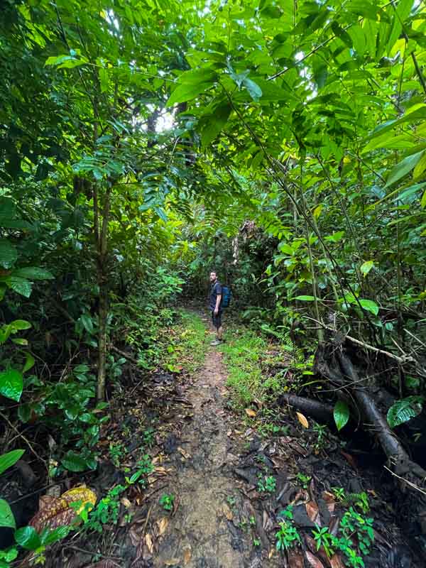 Excursiones Parque Nacional Corcovado