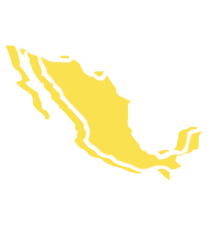 México Mi Sindrome Viajero