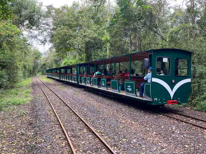 Te moverás en este tren por el interior del PN Iguazú (Argentina)