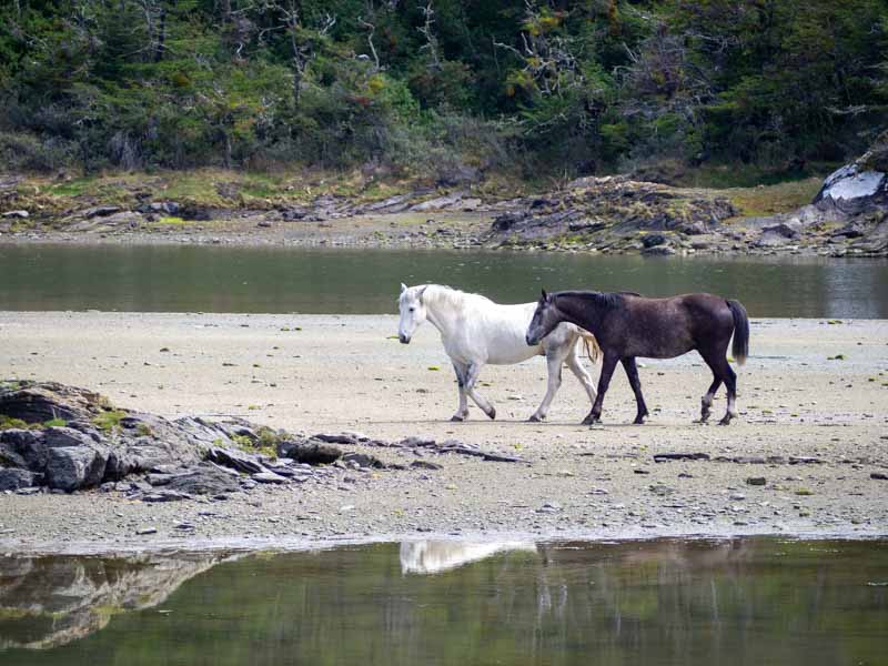 PN Tierra del Fuego