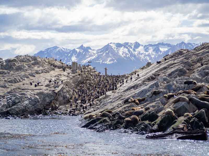 Canal Beagle en excursión desde Ushuaia