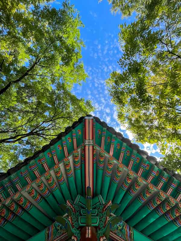 Gyeongsang-Gamyeong Park, Daegu