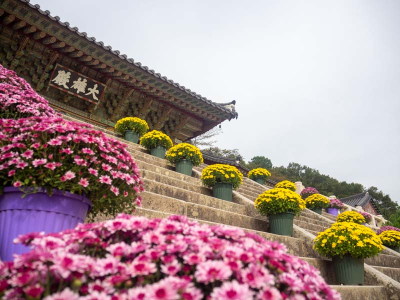 Busan en 2 días: Templo Beomeosa