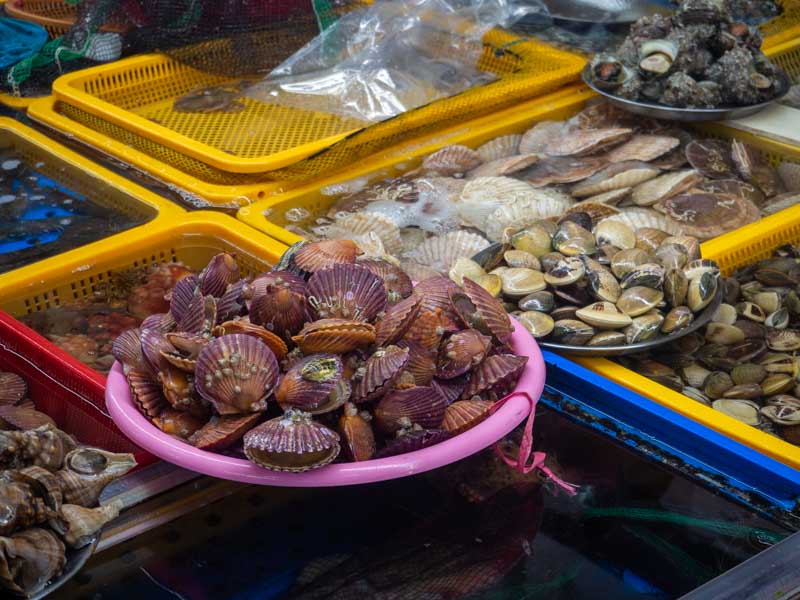 Jagalchi Market, Busan