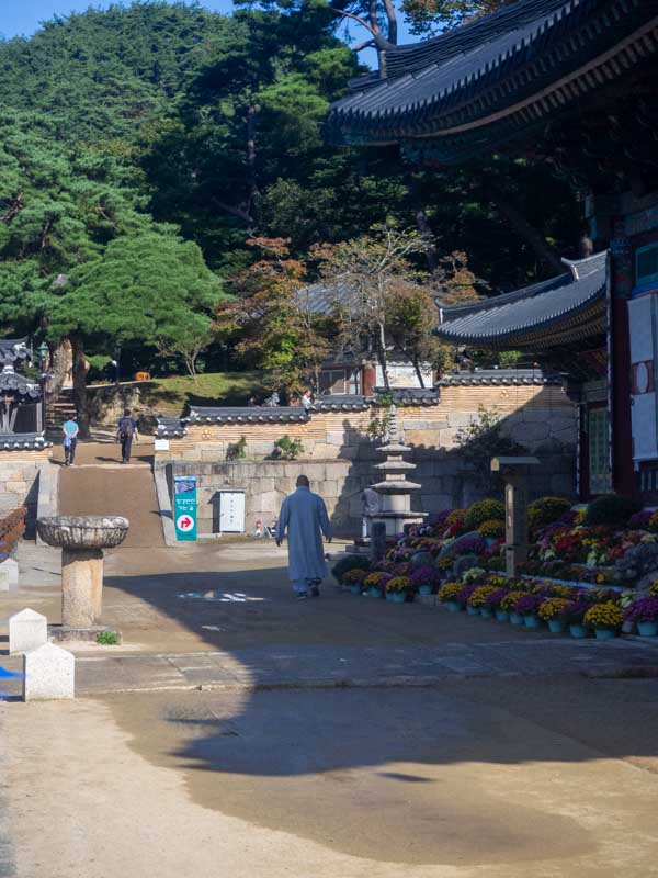 Visitar Templo Haeinsa desde Daegu