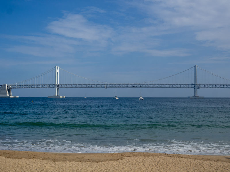 Imprescindibles de Busan