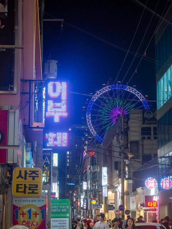 15 días Corea del Sur