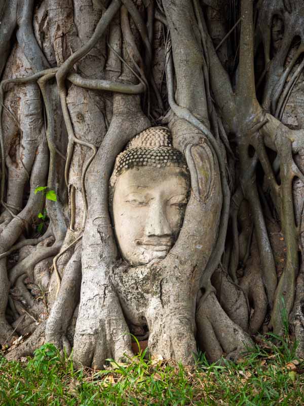 Mejor excursión desde Bangkok en 3 días