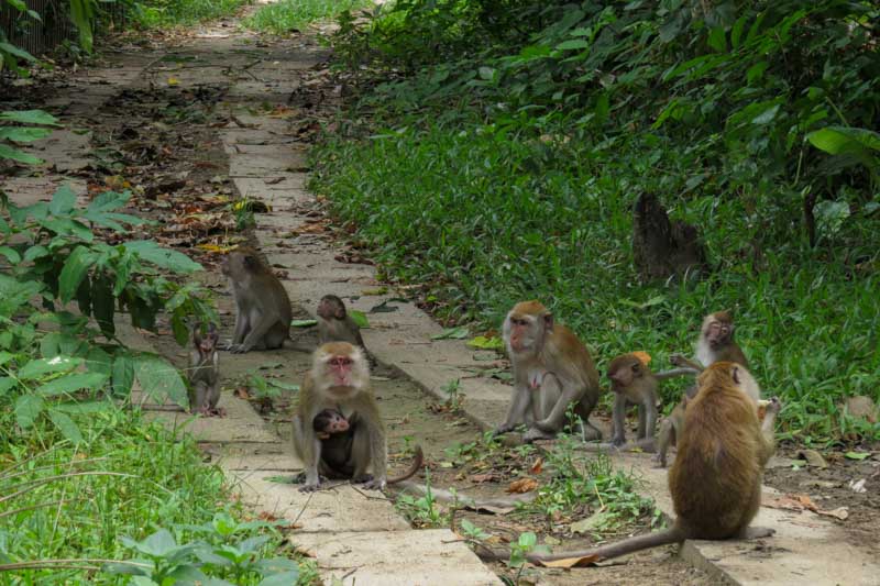 Consejos para visitar Railay