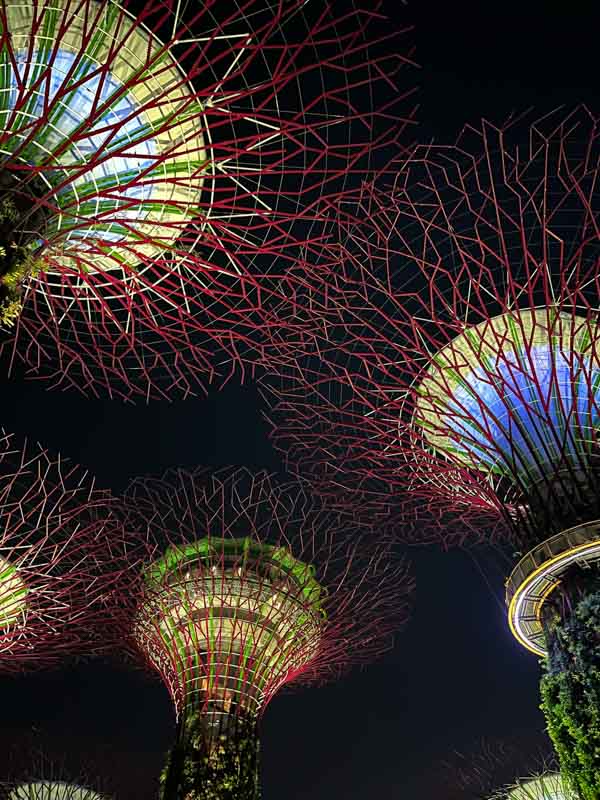 Cosas qué ver en Singapur: Gardens by the Bay