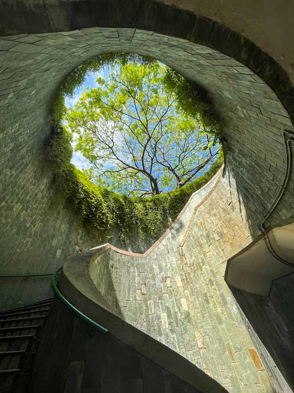 Fort Canning Tree Tunnel