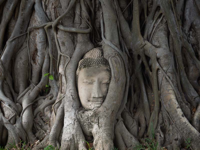 Ayutthaya, tu ruta por Tailandia