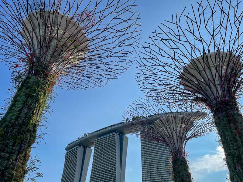 Ruta Singapur: Gardens by the Bay