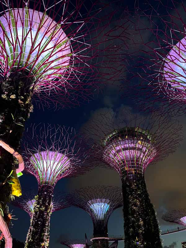 Singapur en 3 días: Gardens by the Bay
