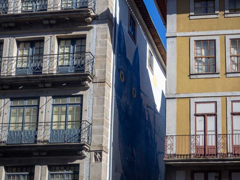 Ruta de 3 días por Oporto