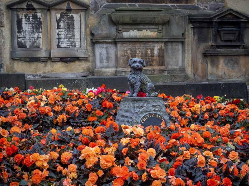 Estatua de Greyfriars Bobby
