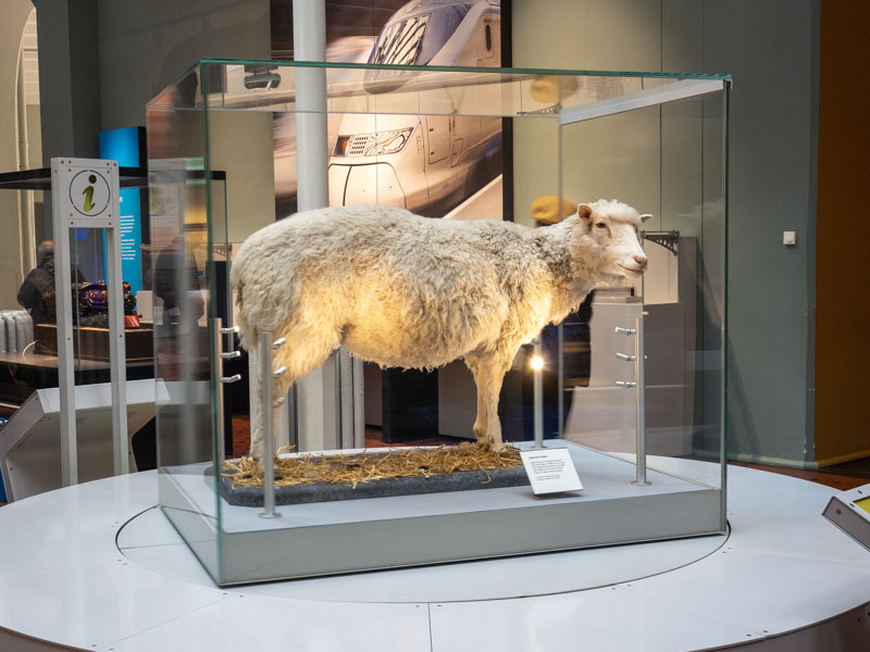 Museo Nacional de Escocia: oveja Dolly