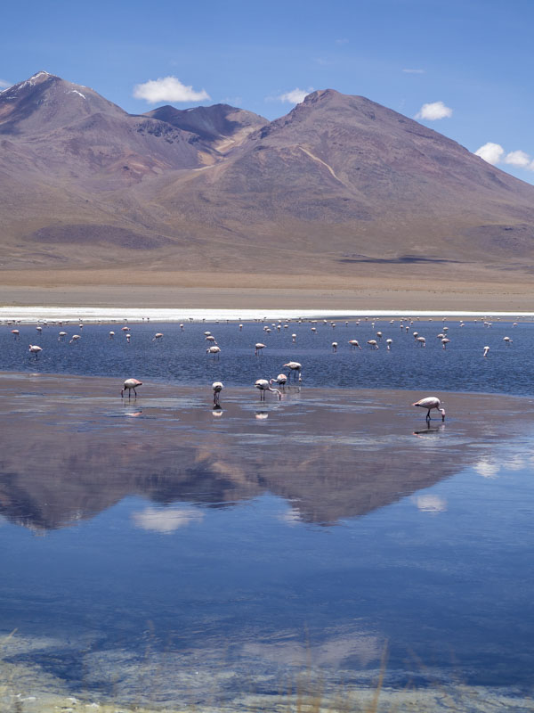 Tour Salar de Uyuni 3 días