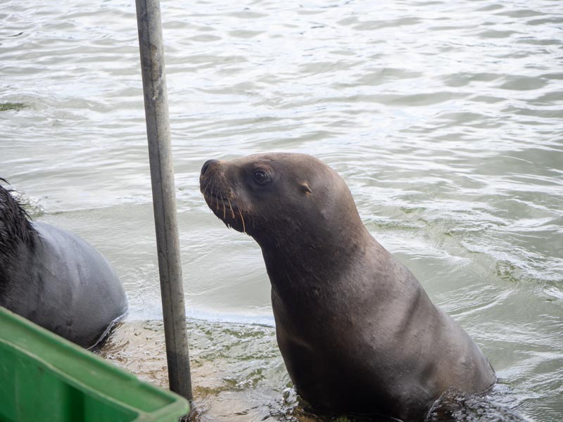 Excursiones Punta del Este