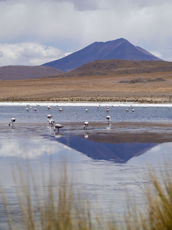 Reserva Natural Eduardo Avaroa, Bolivia