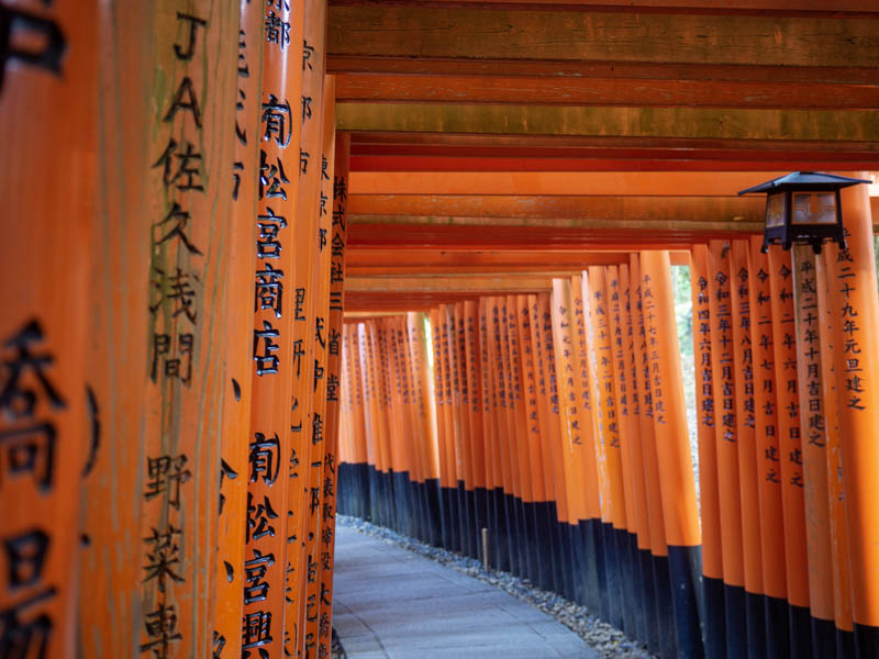 Viajar a Japón: consejos para ir por libre