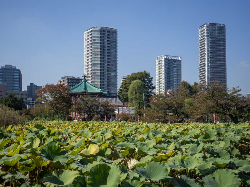 Mejor barrio para hospedarse en Tokio
