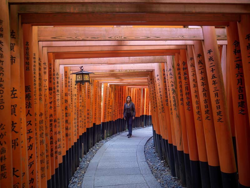 Mil Puertas Torii